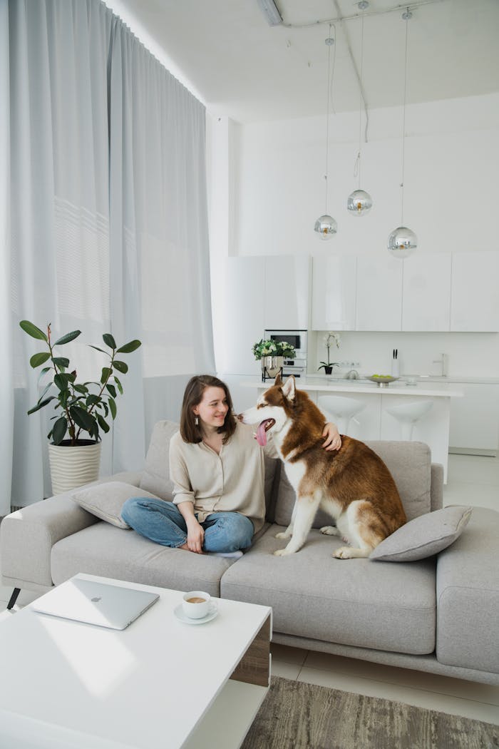 Home Woman relaxing with a Siberian Husky on a modern sofa in a Scandinavian-themed living room.
